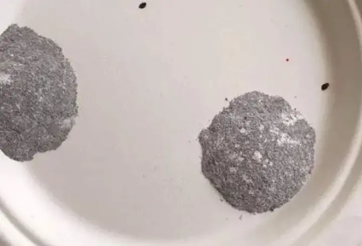 Ölüm getiren tabak: Aile ve öğrenciyi öldüren gizli tehlike