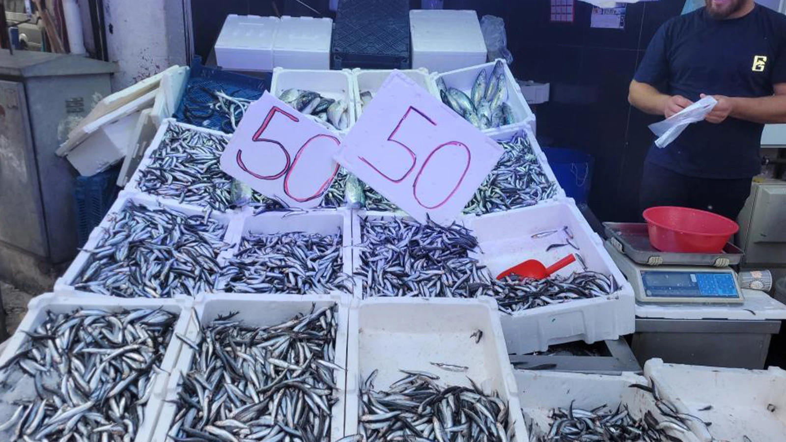 Fiyatı 50 liraya düştü; vatandaş tezgaha koştu