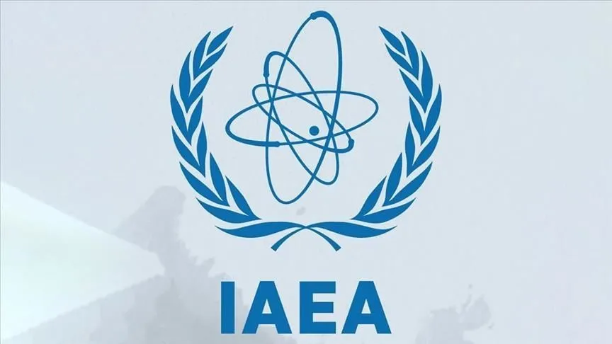 UAEA, Güney Ukrayna Nükleer Santrali yakınında dron düştüğünü bildirdi