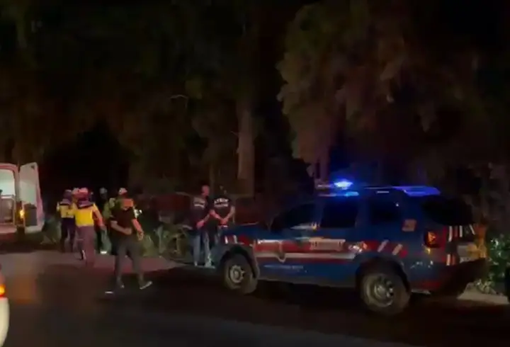 Yoldan çıkan otomobil ağaçlık alana düştü: 2 ölü