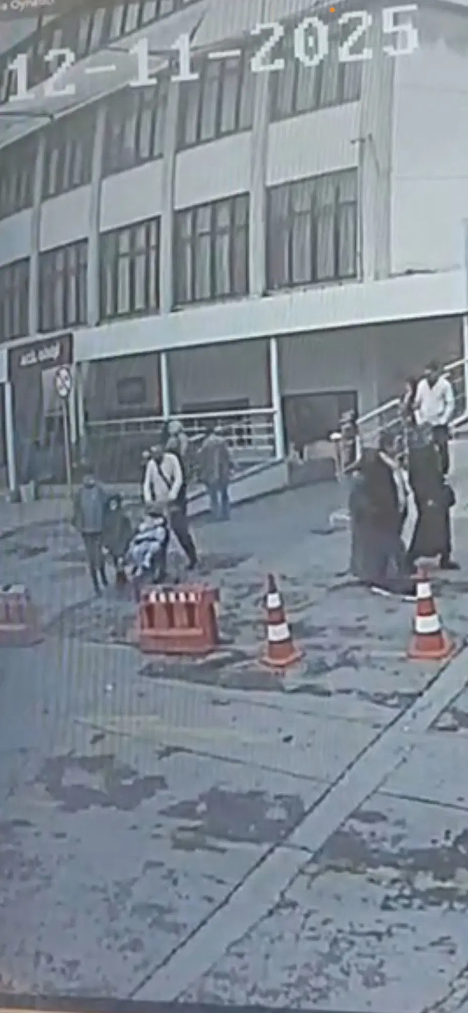 Böcek ailesine ilişkin soruşturmada yeni görüntüler ortaya çıktı