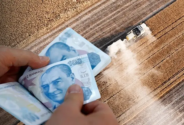 Bakanlık duyurdu! 263 milyon lira destekleme ödemesi yapılacak