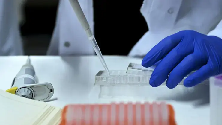 14 İlde Yasa Dışı Yumurta Ticareti Operasyonu: 36 Gözaltı