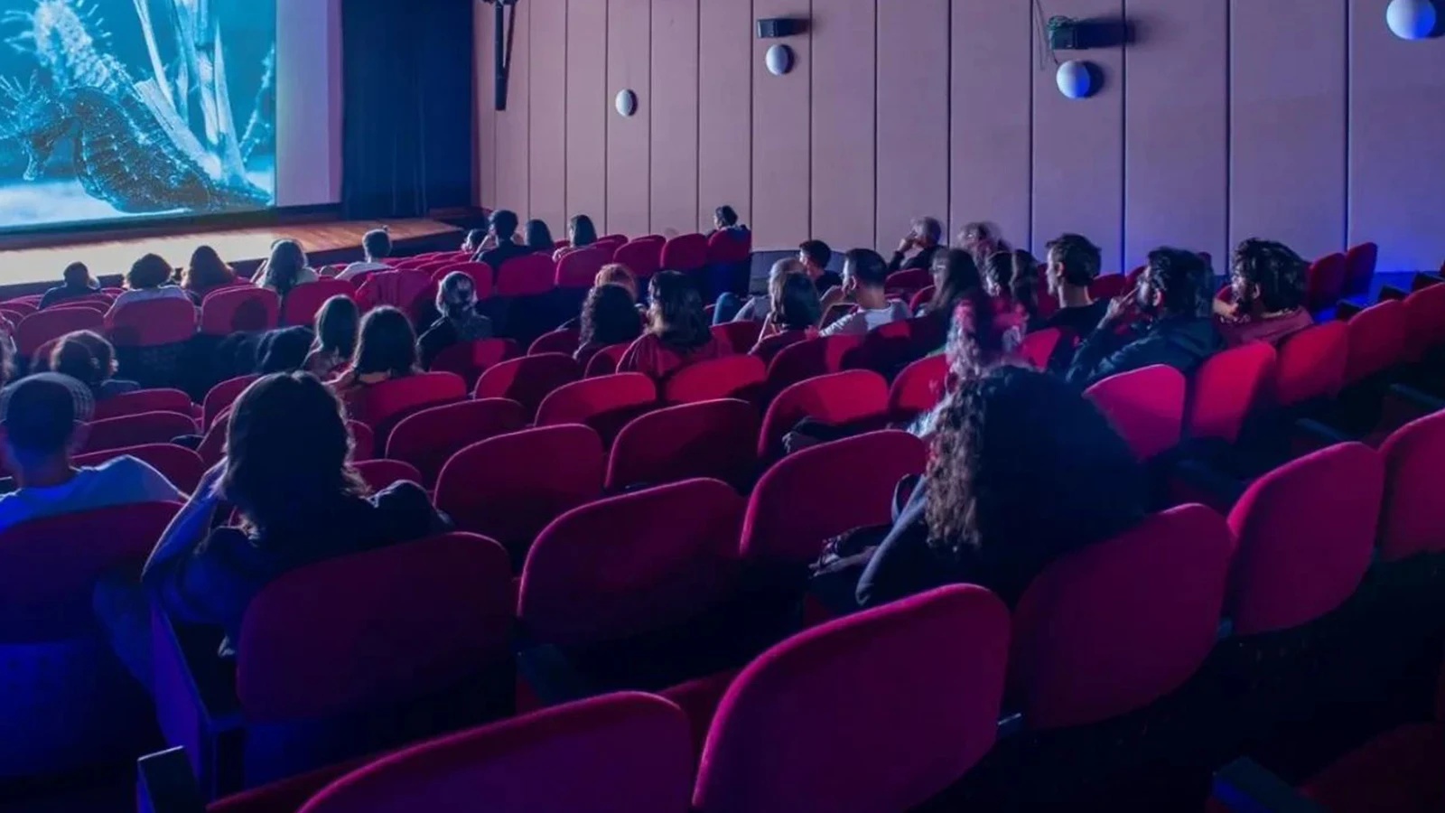 Sinema sektörüne 2026'da güçlü destek