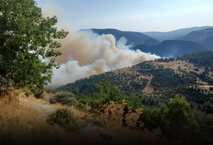 Ciğerlerimiz yanıyor! Bursa-Balıkesir sınırı ve Tekirdağ'da orman yangını