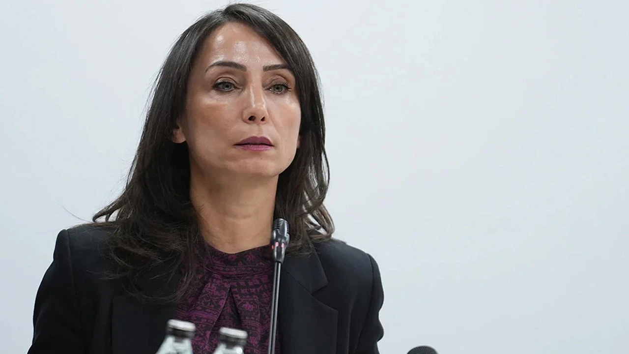 DEM Parti Genel Başkanı Hatimoğulları'ndan 'İmralı görüşmesi' açıklaması