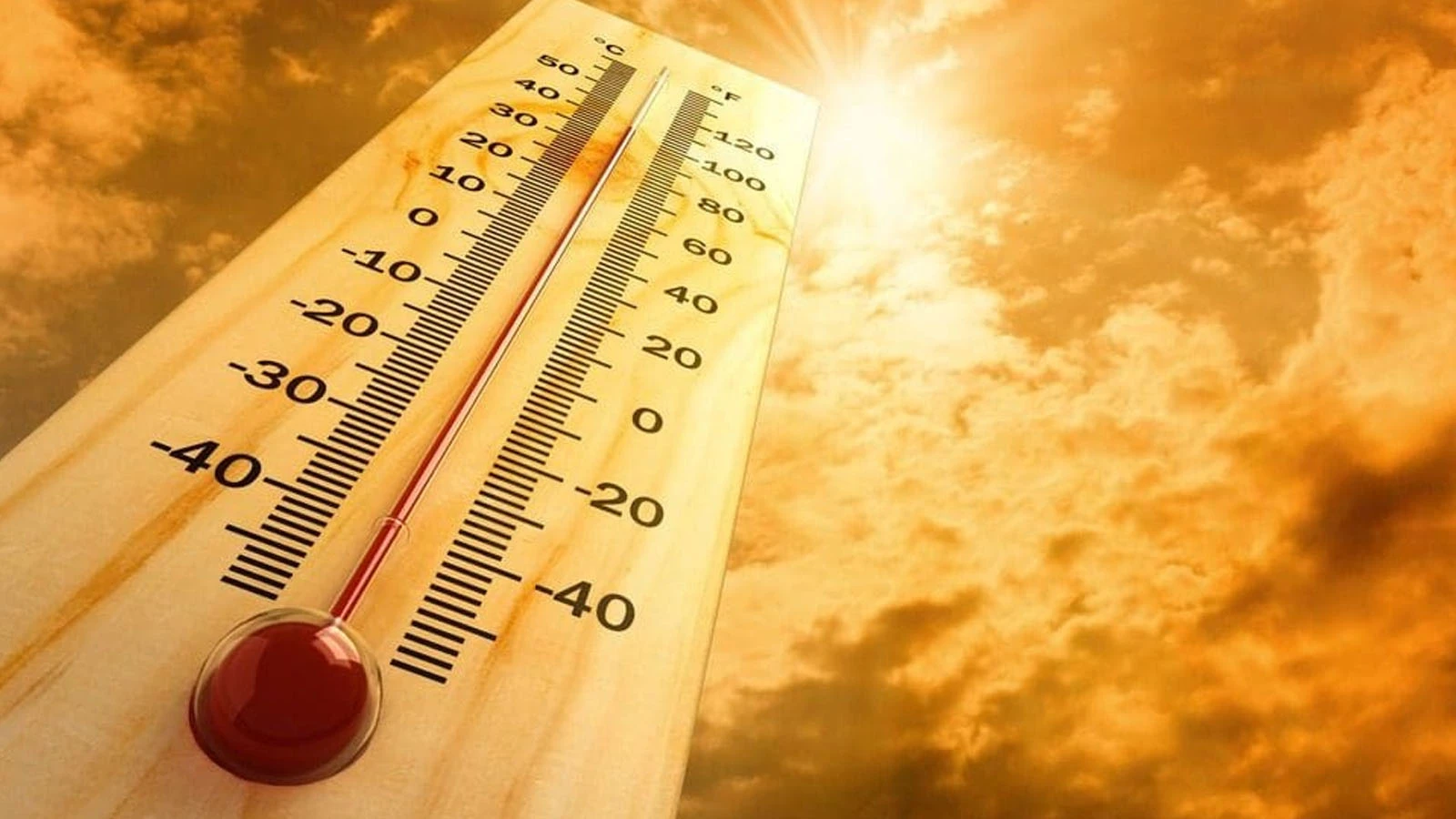 Ülke felaketi yaşıyor! Aşırı sıcaklar 1 haftada 264 can aldı