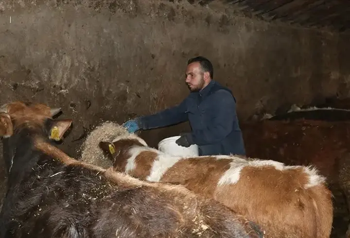 Ağrılı genç girişimci, 250 bin lira hibeyle kendi hayvancılık işini kurdu