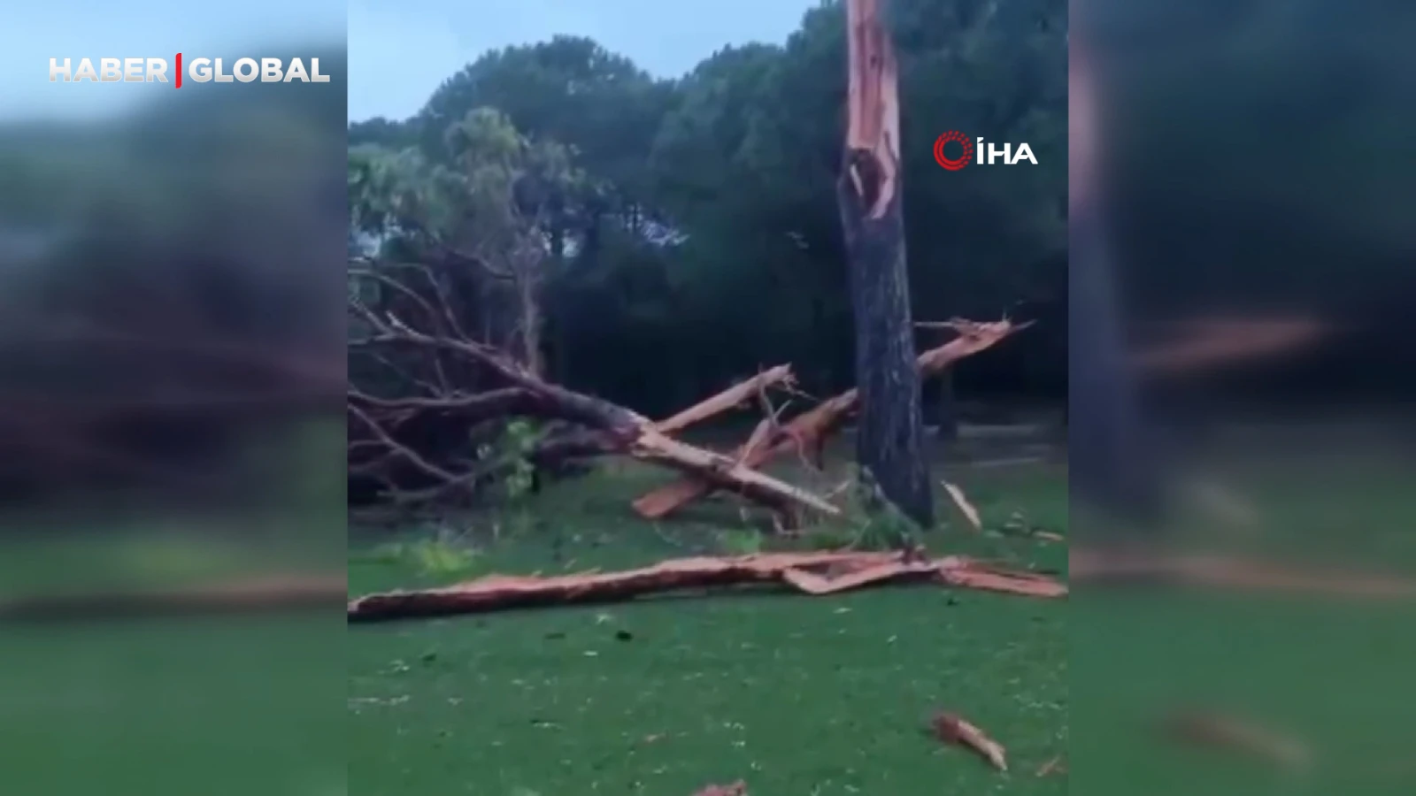 Golf sahasına düşen yıldırım ağacı parçalara ayırdı