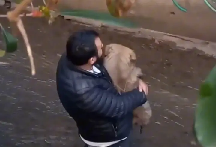 İstanbul - Ataşehir’de köpeğini kurtarmak isterken derede mahsur kaldı