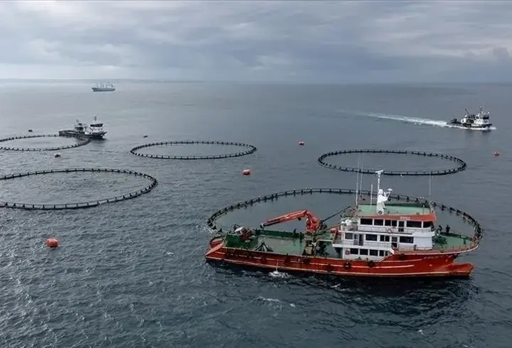 Karadeniz’den su ürünleri ihracatı ocakta yüzde 46 arttı