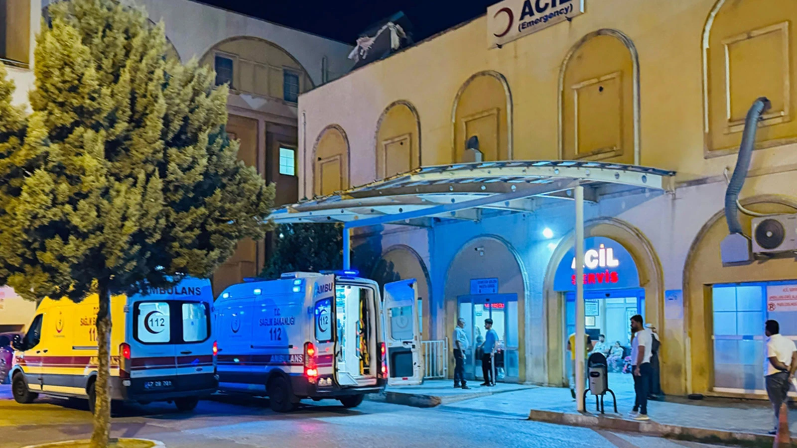Mardin'de otomobilin çarptığı kadın, ağır yaralandı