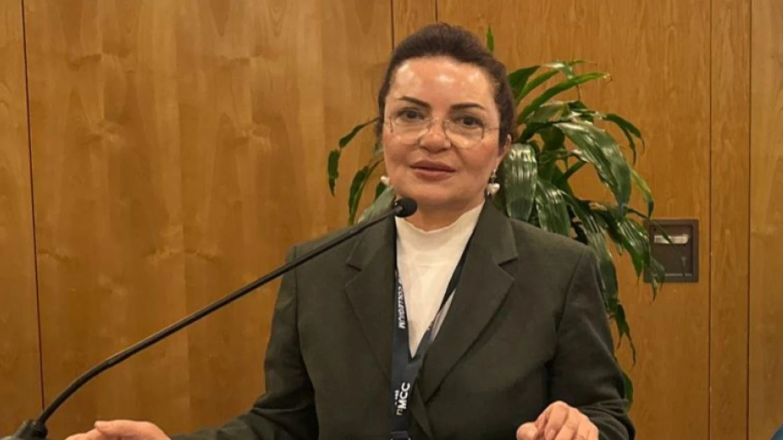 Prof. Dr. Attar: Güney Kafkasya iş birliği merkezine dönüşebilir