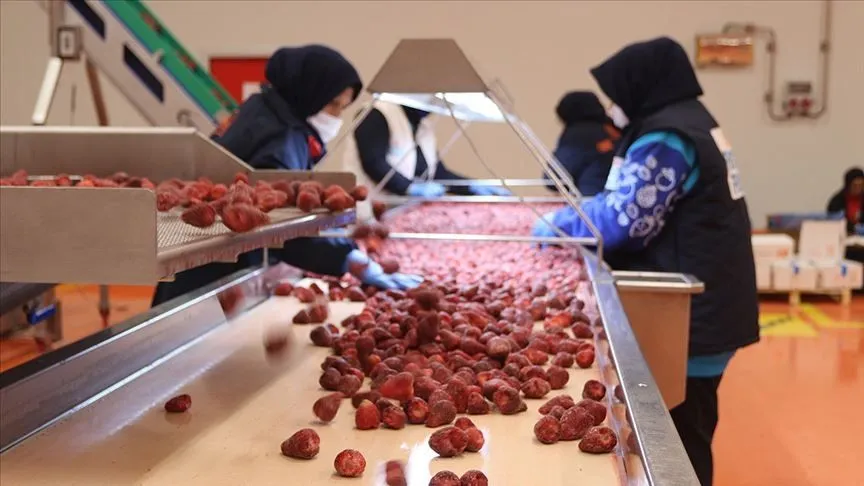 Dondurulmuş meyve ve sebzede, 2026'da 200 milyon dolar ihracat hedefi