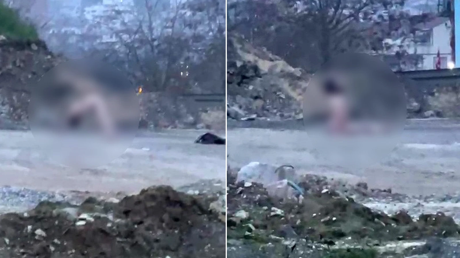 Köprü altında akıllara durgunluk veren görüntüler