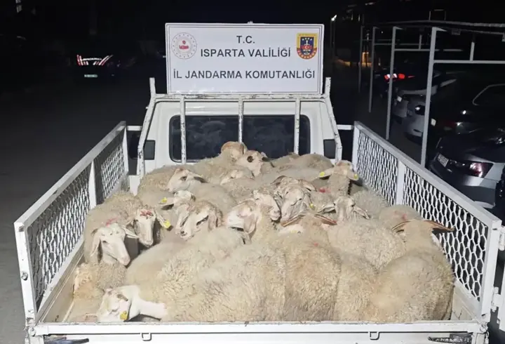 32 küçükbaş hayvanı çalıp kaçtı, takiple yakalandılar