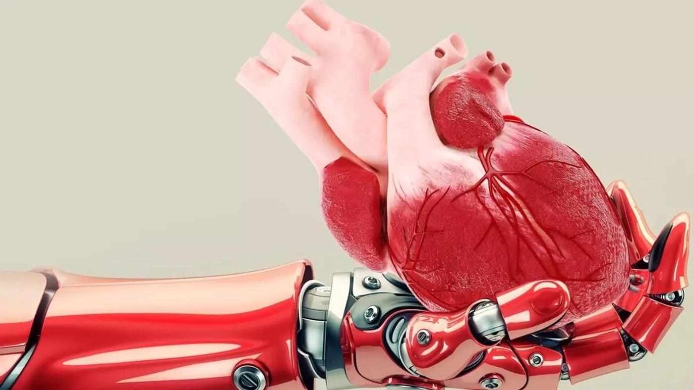 Yapay zeka, organ naklinde erken risk tespit dönemini başlatıyor