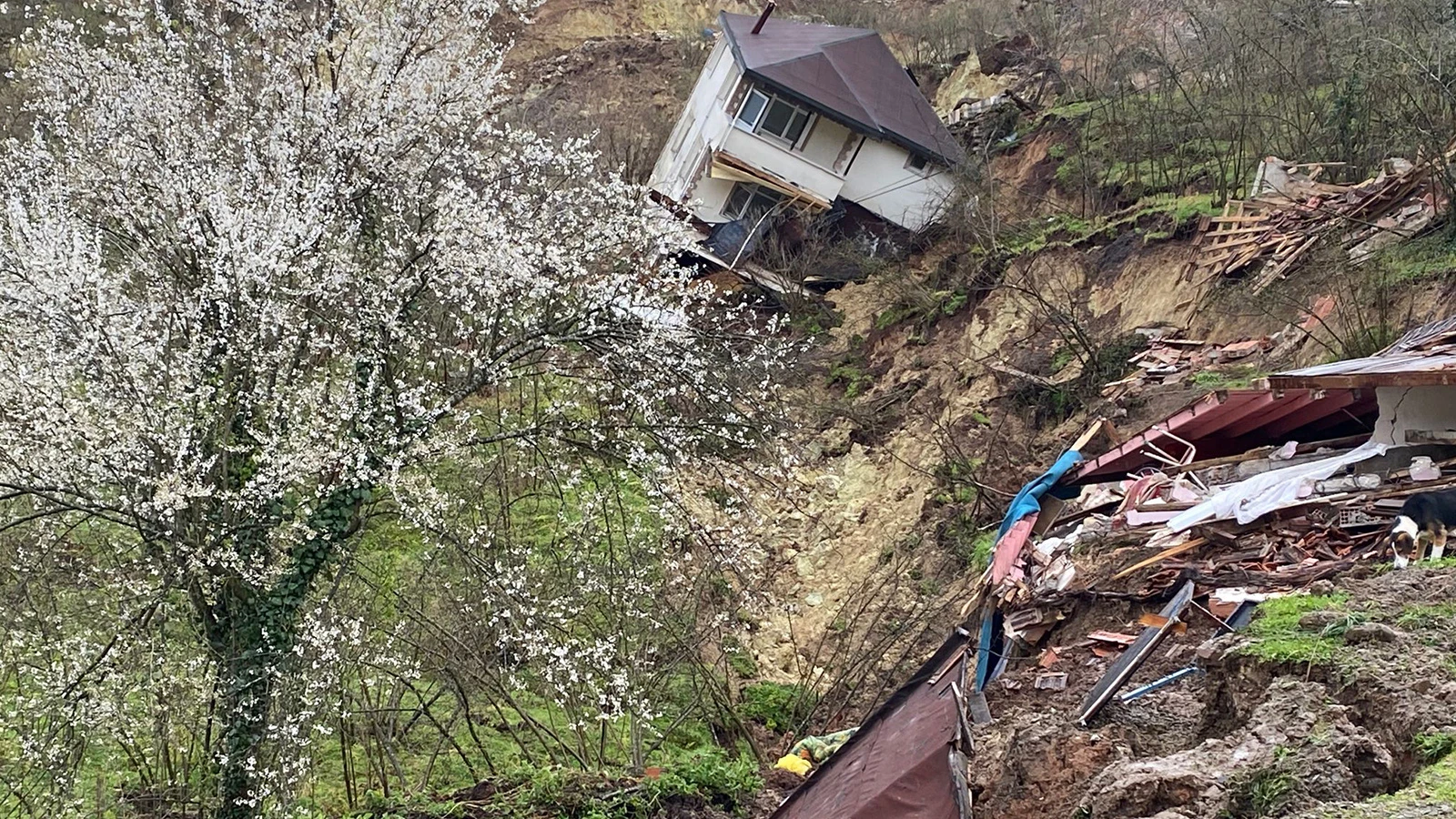 Ordu'da heyelan; 2 ev ile kapalı spor tesisi yıkıldı