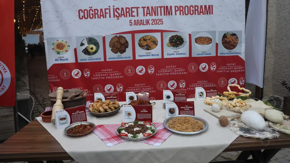 "Dünyada 300 milyar dolarlık pazarı var, Türkiye'de denetimi eksik"