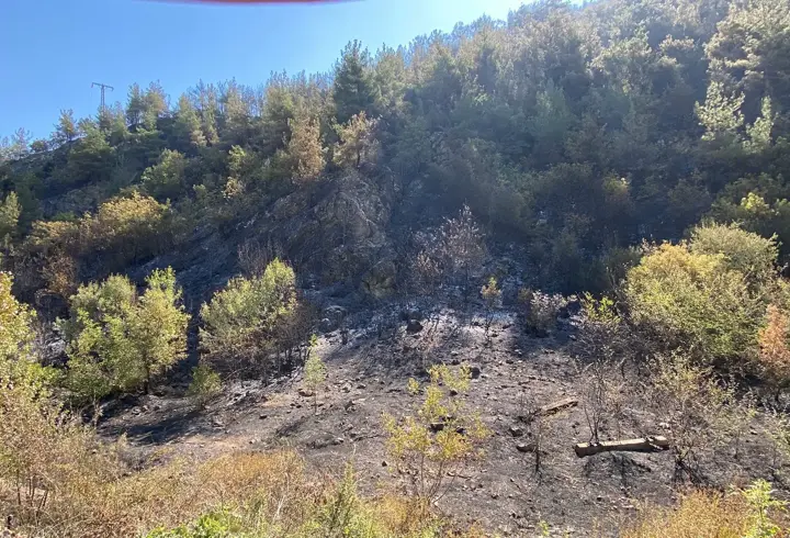 Karabük'te orman yangınına müdahale sürüyor; 55 hektar alan zarar gördü