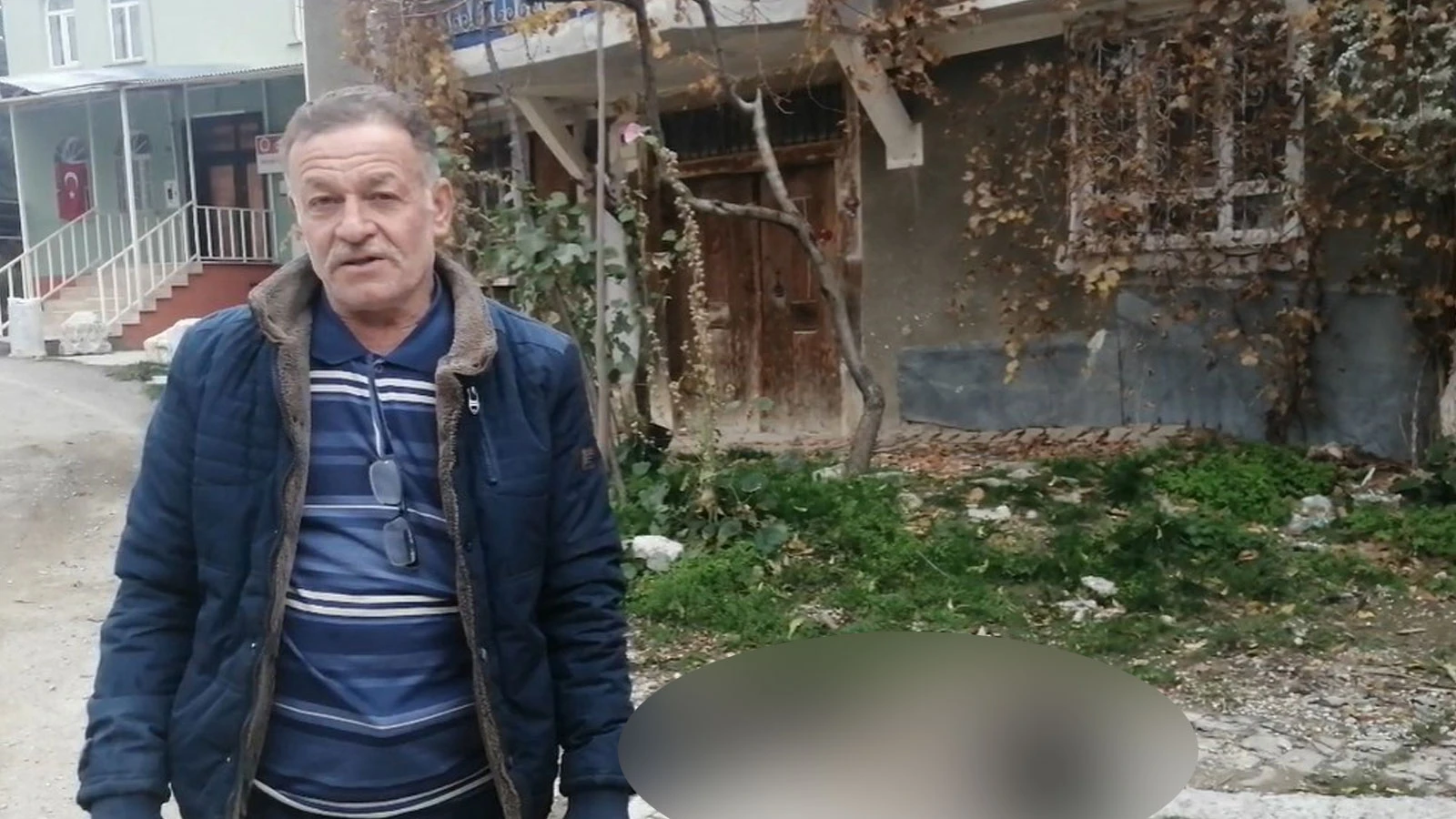 Isparta'da art arda yaşanan köpek ölümlerine valilik inceleme başlattı