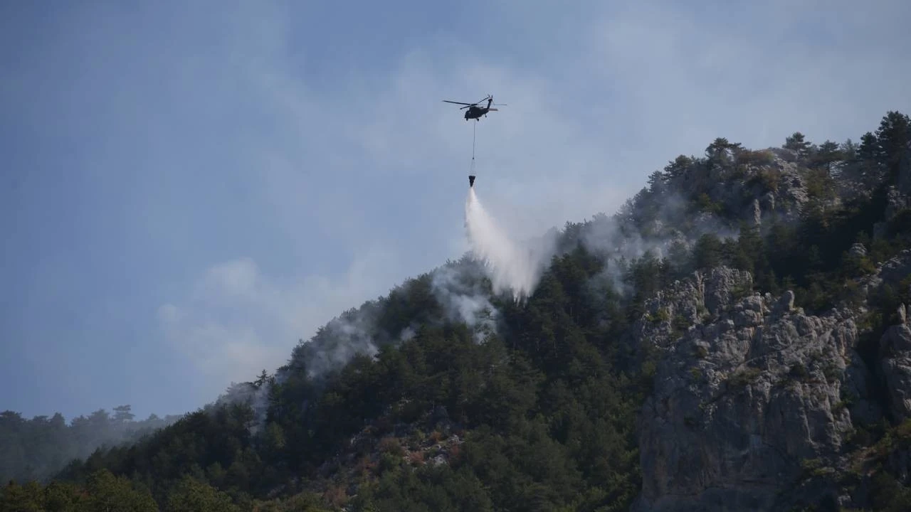 Sinop'ta orman yangını: 6 hava, 60 kara aracı ve 225 personelle müdahale