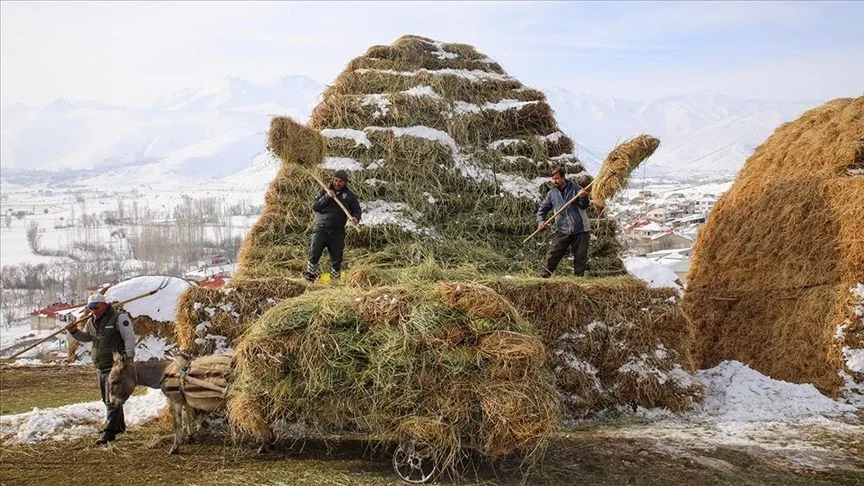 Kar ve soğuk havanın etkisi altındaki kırsalda zorlu yaşam