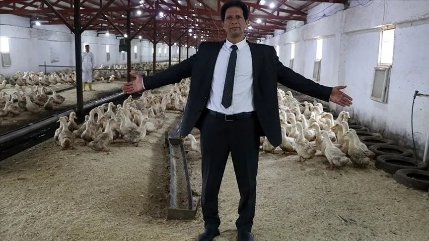 Mısırlı girişimci Kütahya'da kurduğu çiftlikte Pekin ördeği yetiştiriyor