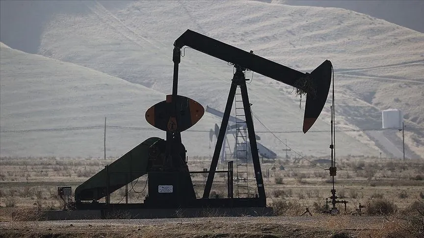 OPEC'in günlük ham petrol üretimi şubatta 164 bin varil arttı