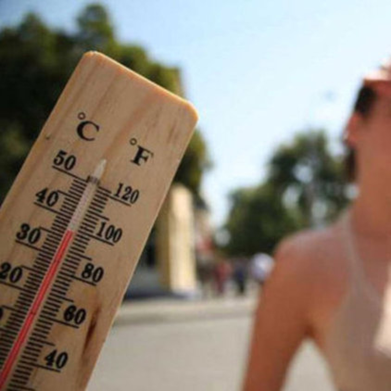 El Nino nedir?