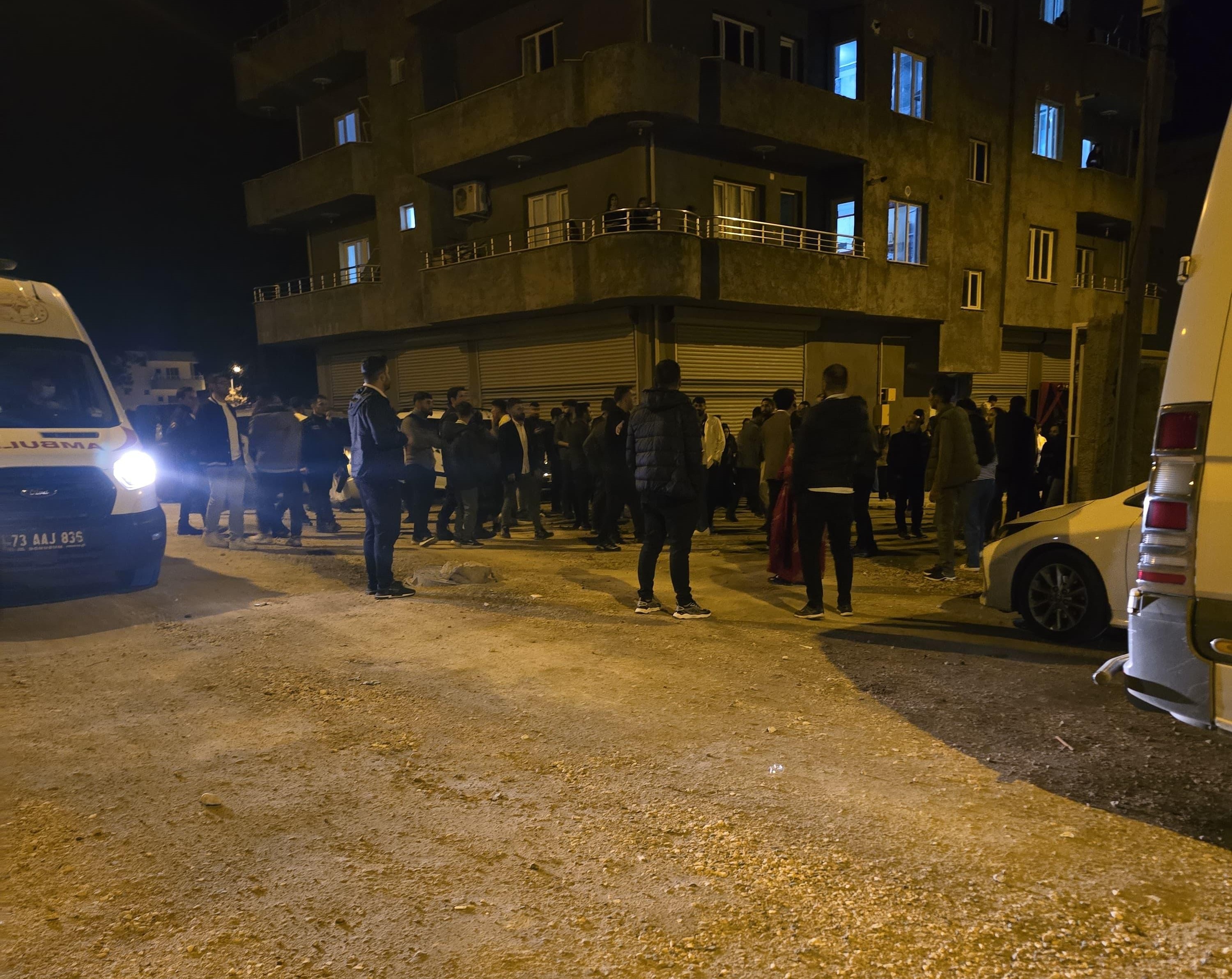 Şırnak'ta taşlı sopalı kavga: 4 kişi yaralandı