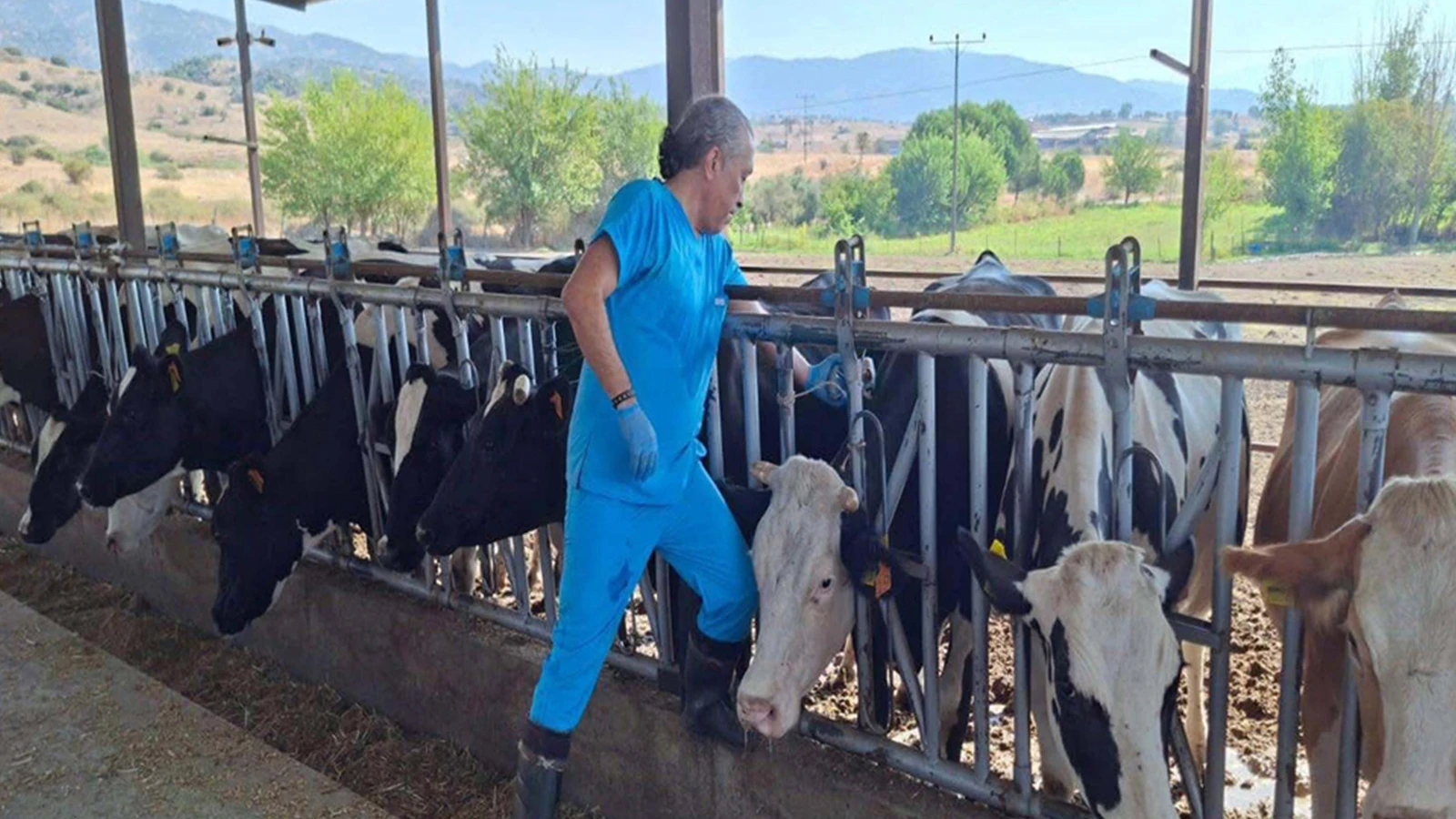 Kentte alarm; 9 mahalle karantinaya alındı!
