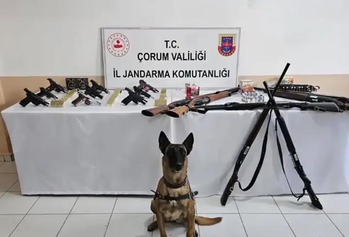 Silah ve mühimmat kaçakçılığı operasyonu: 202 kişi yakalandı