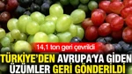 Türkiye’den Avrupa'ya Giden Üzümler Geri Gönderildi: 14,1 Ton Geri Çevrildi