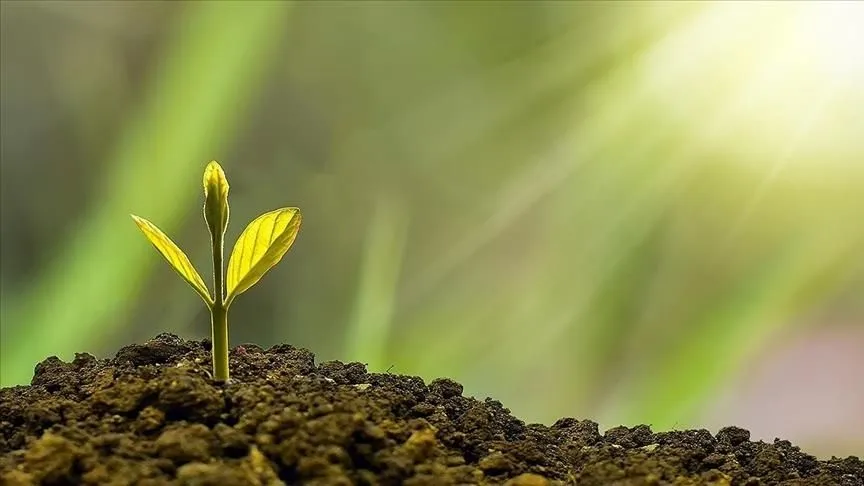 Türkiye'de çevre alanında 2025 böyle geçti