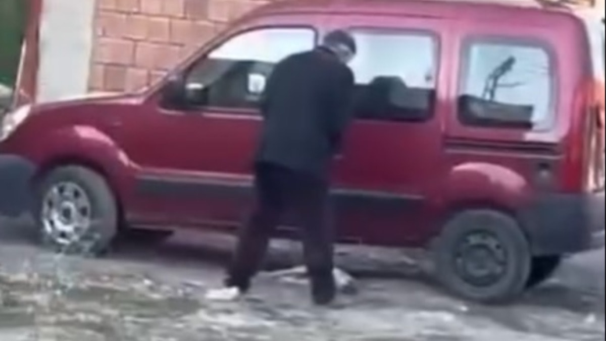 Yavru köpeği sopayla dövdü! Görüntüler infial yarattı