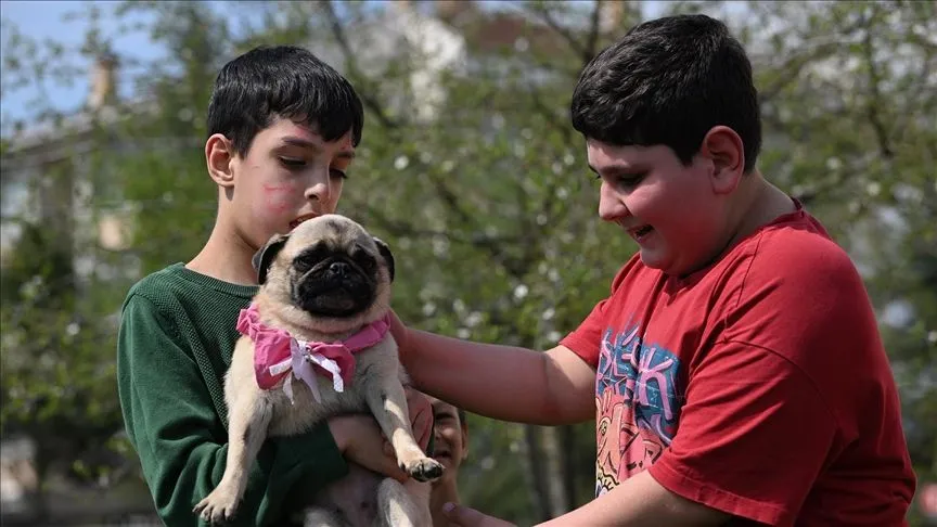 Öğretmenlerin sahiplendiği köpek, otizmli öğrencilere adeta terapi oldu