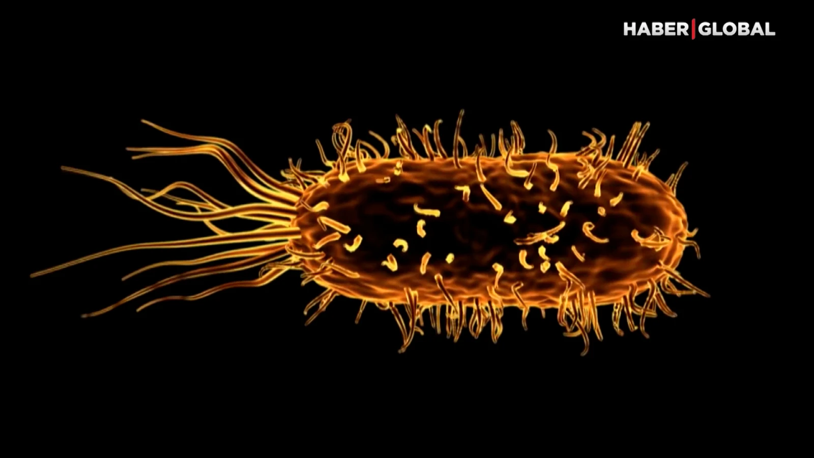 Kanserle mücadelede yeni dönem: ⁠Yapay zeka ile erken teşhis