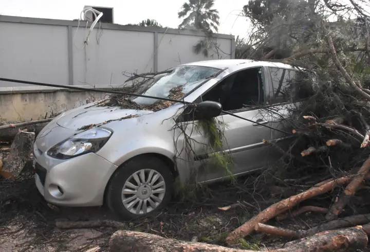 İzmir’de kuvvetli rüzgar: Park halindeki otomobilin üzerine ağaç devirdi