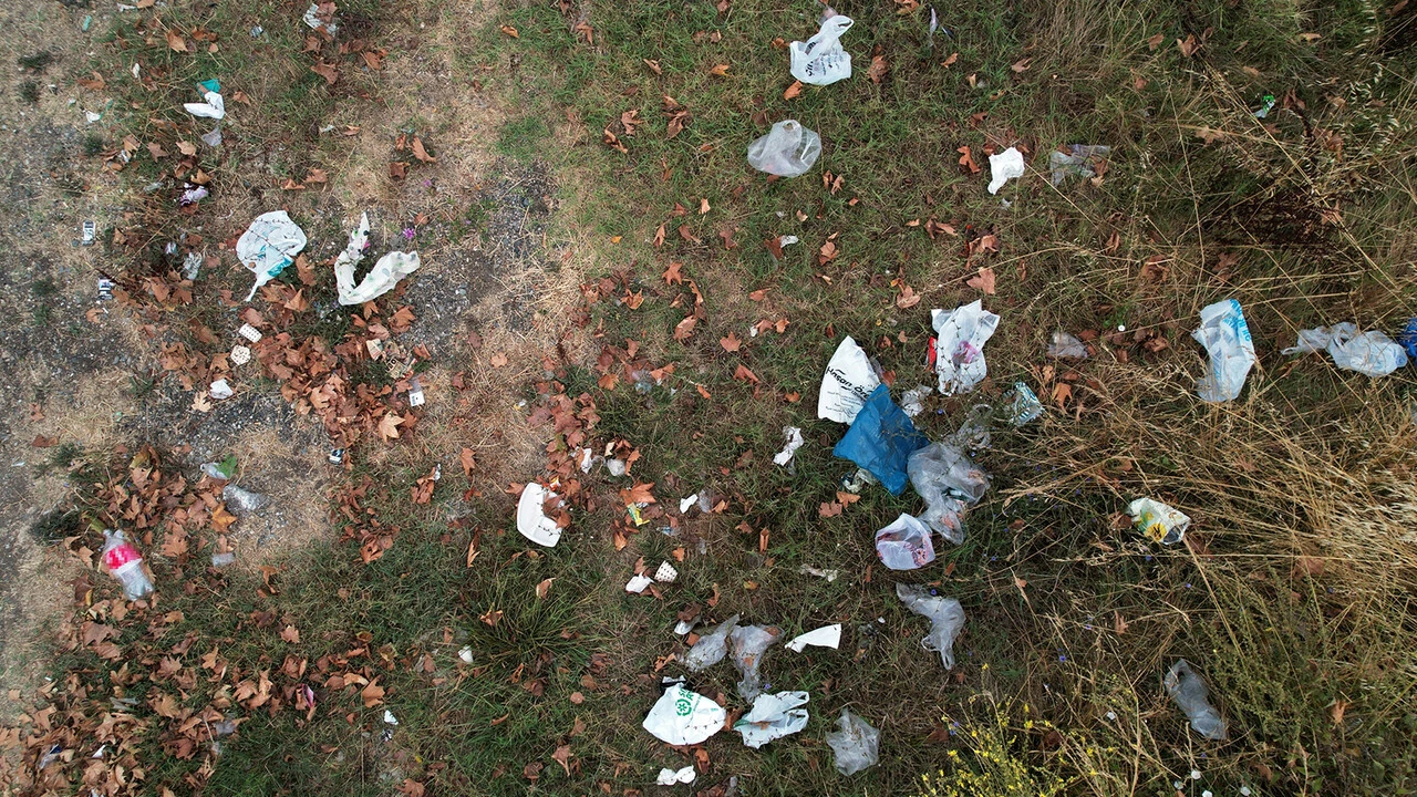 Sakarya'da çevre rezaleti: Piknik alanı çöplüğe döndü