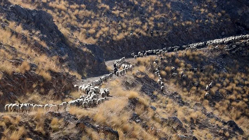 Bitlis'te göçerler havanın soğumasıyla dönüş yolculuğuna başladı