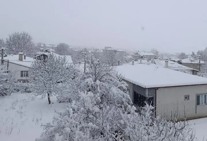 Samsun'da kar yağışı; ulaşım aksadı