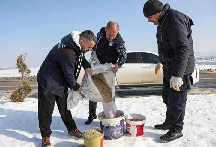 Van Büyükşehir Belediyesi, kuşlar için doğaya yem bıraktı