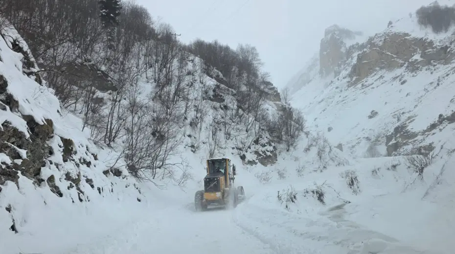 Artvin'de çığ düştü. "Çobanlar altında kalmış olabilir"
