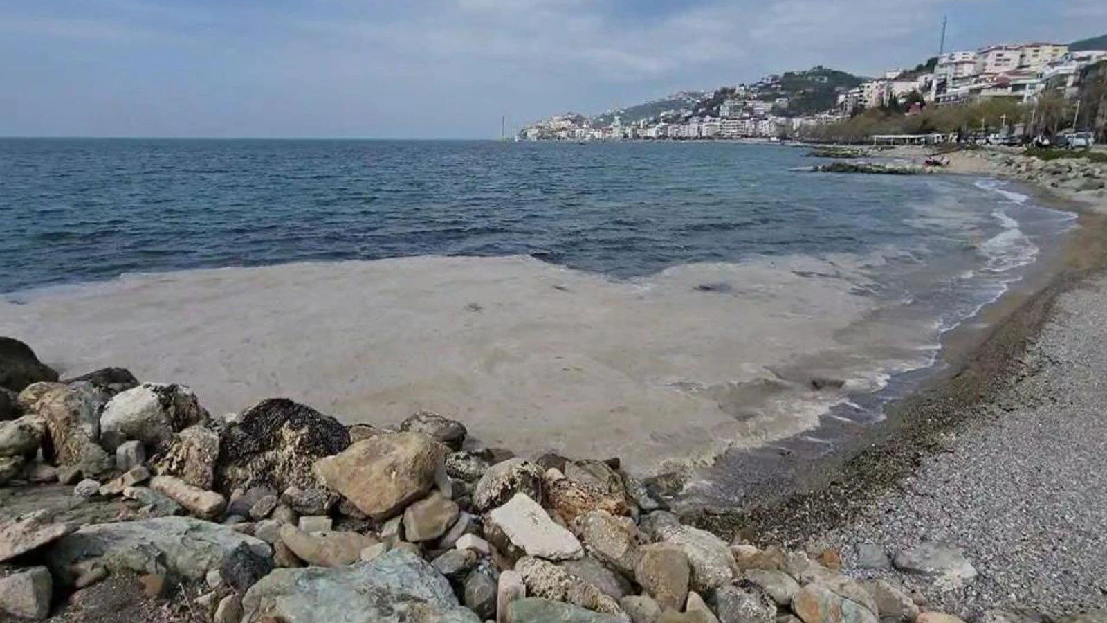 Marmara'da yeniden ortaya çıktı; vatandaşları endişe sardı