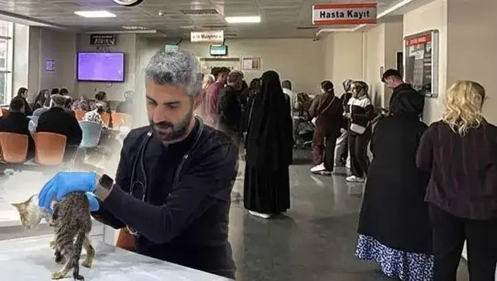 Tokat'ta Binlerce Kişiyi Hastanelik Eden Salgında Evcil Hayvan Şüphesi!