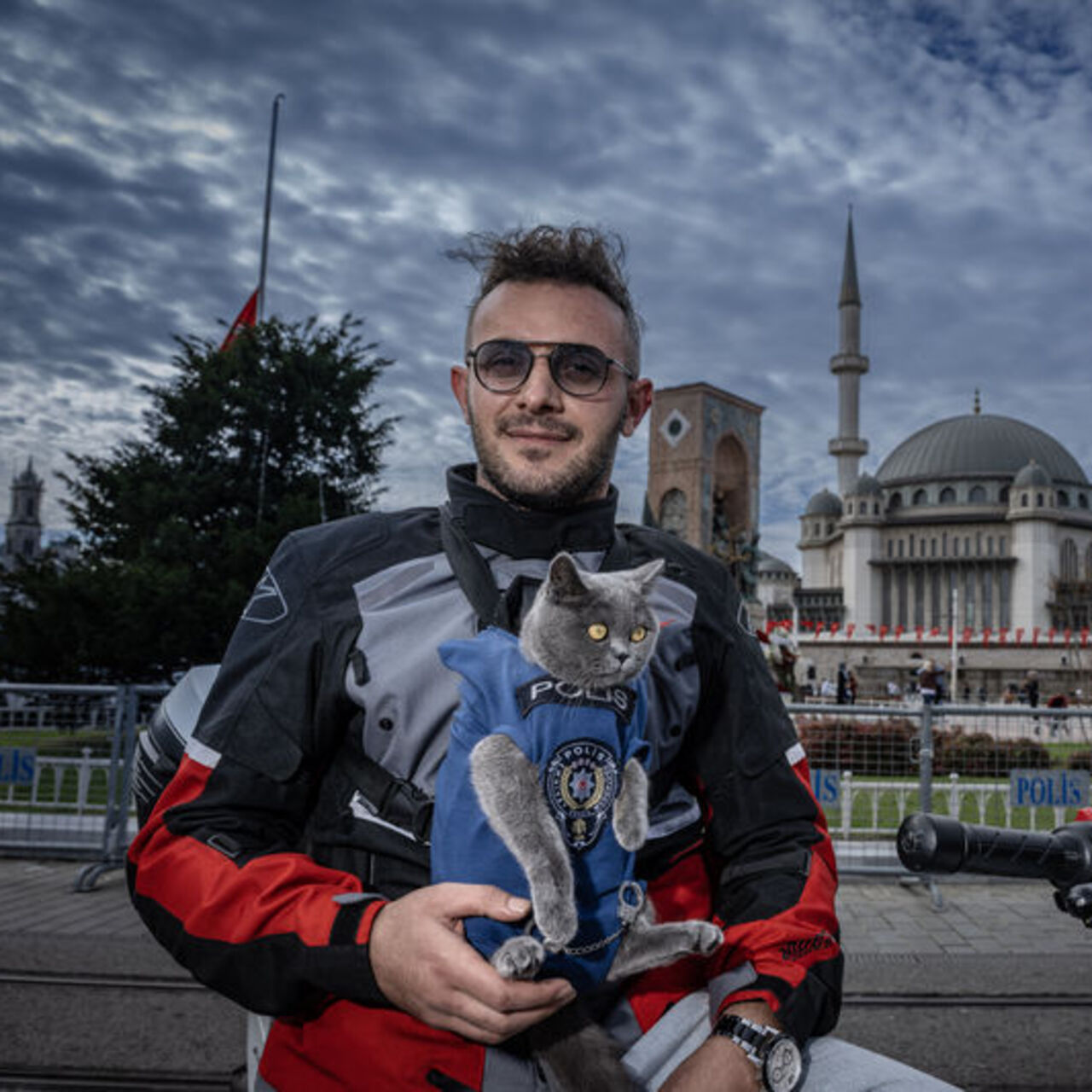 Motosikletli kedi 'Gofret' İstanbul sokaklarında