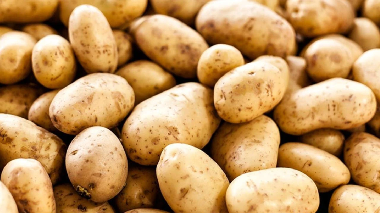 Almanya’da Patates Alarmı: Üretimde Yüzde 25 Düşüş, Fiyatlarda Sert Artış