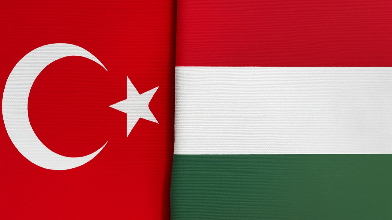 Türkiye-Macaristan arasında 'Medya Köprüleri' çalıştayı düzenlendi