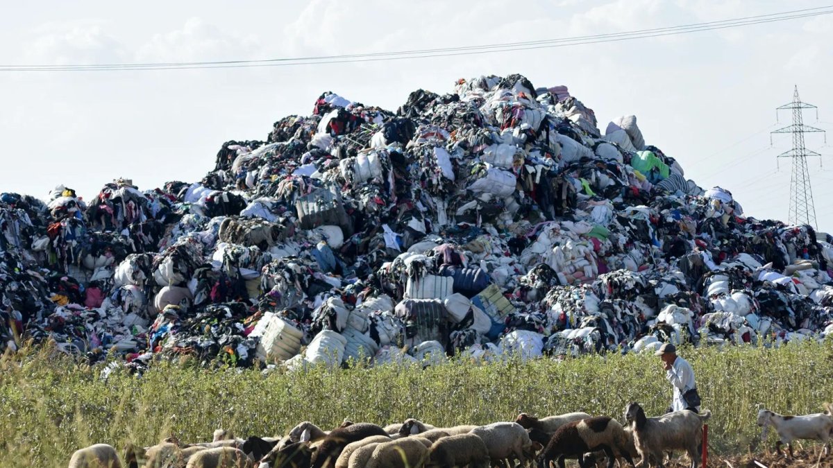 AB'nin Düzenlemesi Durumu Daha Da Kötüleştirecek: Avrupa'nın Plastik Çöplüğü Türkiye Oldu